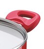 Bajaj Red Ceramic Coated Cooking Pot ,3 Ltr