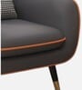 Balarka Velvet Fabric Lounge Chair In Dark Grey Colour
