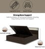 Baleno King Size Bed In Brown & White Finish