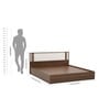 Baleno King Size Bed In Sheesham Wood Finish With Hydraulic Storage