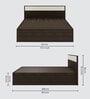 Baleno Queen Size Bed in Brown and White Finish with Hydraulic Storage