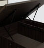 Baleno Queen Size Bed in Brown and White Finish with Hydraulic Storage