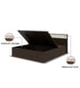 Baleno Queen Size Bed in Brown and White Finish with Hydraulic Storage