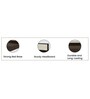 Baleno Queen Size Bed in Brown and White Finish with Hydraulic Storage