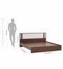 Baleno Queen Size Bed In Sheesham Wood Finish Without Storage