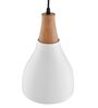 Baley White Metal Hanging Light