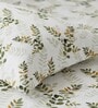 Bamboo Green Metro 186 TC Cotton King Bedsheet With 2 Pillow Covers