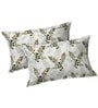 Bamboo Green Metro 186 TC Cotton King Bedsheet With 2 Pillow Covers