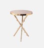 Bamboo Metal End Table in Silver Colour