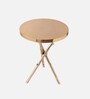 Bamboo Metal End Table in Silver Colour