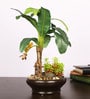 Green Artificial Banana Plant Bonsai with Ceramic Pot