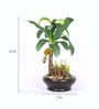Green Artificial Banana Plant Bonsai with Ceramic Pot