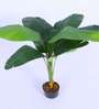 Artificial Banana Plant with Pot