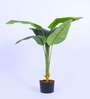 Artificial Banana Plant with Pot