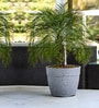 Grey Barca Molded 40 Cm Planter