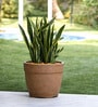 Barca Molded Sand 16 Inch Planter