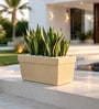 Cream Barca Rectangular Molded 24 Inch Planter