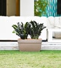 Sand Barca Rectangular 24 Inch Planter