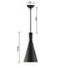 Barce Black Metal Hanging Light