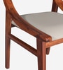 Bardu Sheesham Wood Dining Chair in Honey Oak Finish