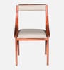 Bardu Sheesham Wood Dining Chair in Honey Oak Finish