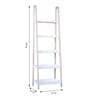 Barnard Ladder Display Unit & Book Shelf in White Colour