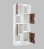Barnes Book Shelf in Brown Matte Finish