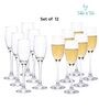 Barone 190 ml Tulip Glass Set of 12 Elegant and Stylish Long Stem Champagne Flutes | Crystal Champagne Premium Glass, Unique Wine Glass