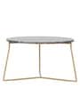 Barstow Metal Coffee Table in Golden Finish