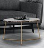Barstow Metal Coffee Table in Golden Finish
