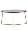 Barstow Metal Coffee Table in Golden Finish