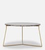Barstow Metal Coffee Table in Golden Finish