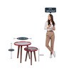 Basant Solid Wood Nest of Tables in Blue & Red Finish (Set Of 2)