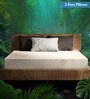 Basil Fx Dual Firm 6 Inches With 100% Natural Latex Mattress in Queen Size (With 2 Free Pillows)