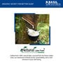 Basil Fx Dual Firm 6 Inches With 100% Natural Latex Mattress in Queen Size (With 2 Free Pillows)