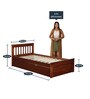 Basilica Solid Wood Single Bed with Trundle in Natural Pinewood Finish