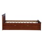Basilica Solid Wood Single Bed with Trundle in Natural Pinewood Finish