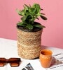 Set Of 2 Beige Jute Handwoven Multipurpose Planter & Storage Basket