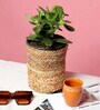 (1Pc) Beige Jute Handwoven Multipurpose Planter & Storage Basket