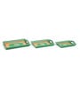 Basti Green (Set of 3) MDF Serving Tray
