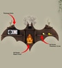Bat Shape Backlit Designer Wooden Wall Shelf Book Shelf Night Light, Walnut Finish