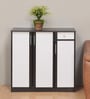 Baylor Shoe Cabinet in Wenge Colour