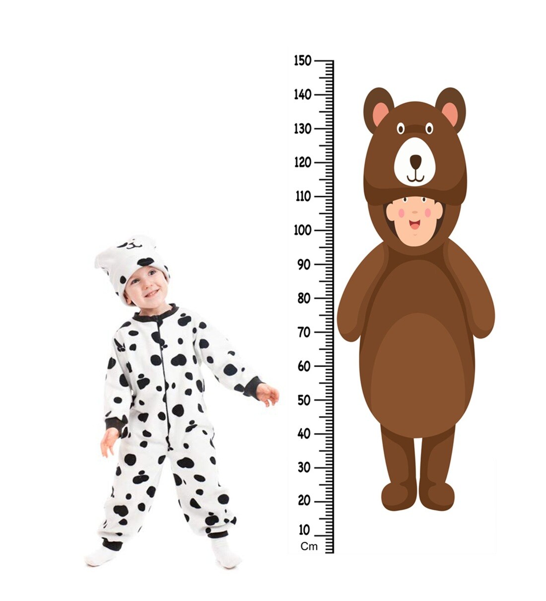 Buy Bear Uniform Height Chart in Multicolour by Wens Online Height