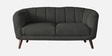 Benjamin Fabric 2 Seater Sofa in Charcoal Grey Colour