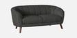 Benjamin Fabric 2 Seater Sofa in Charcoal Grey Colour