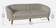 Benjamin Fabric 3 Seater Sofa in Lit Grey Colour