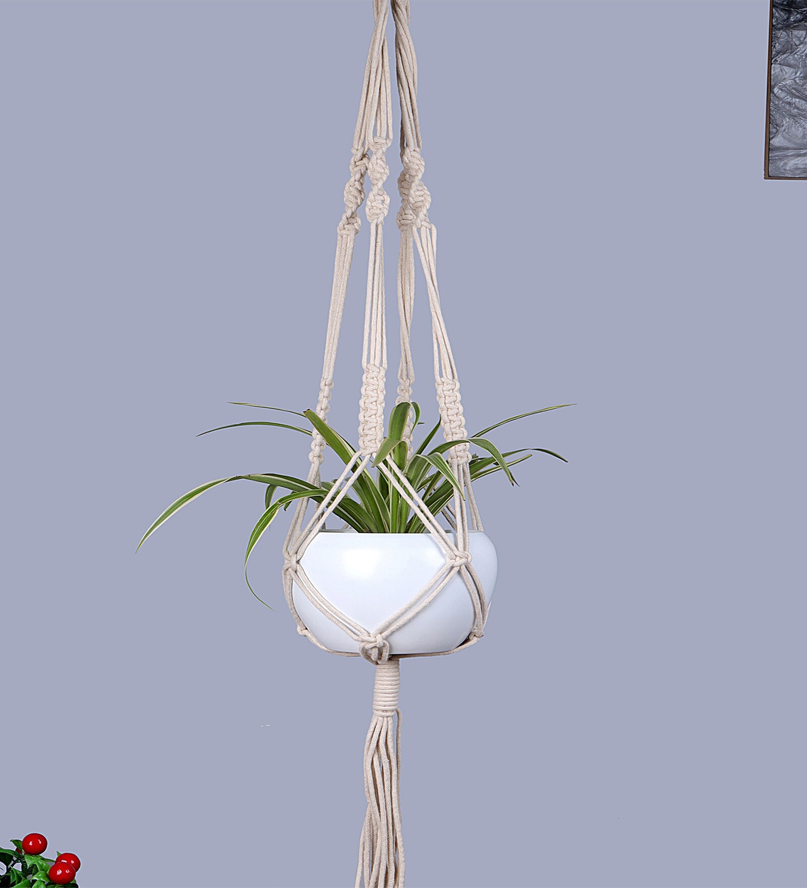 Buy Beige Cotton Macrame Indoor Hanging Rope Planter (Set of 3) By