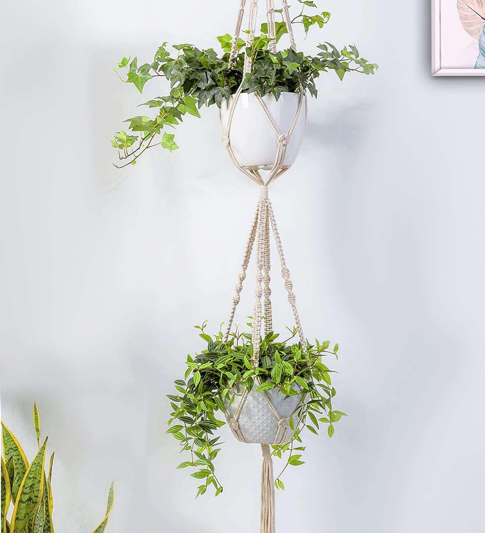 Beige Macrame Indoor and Handmade Hanging Rope Planter (Set of 2)