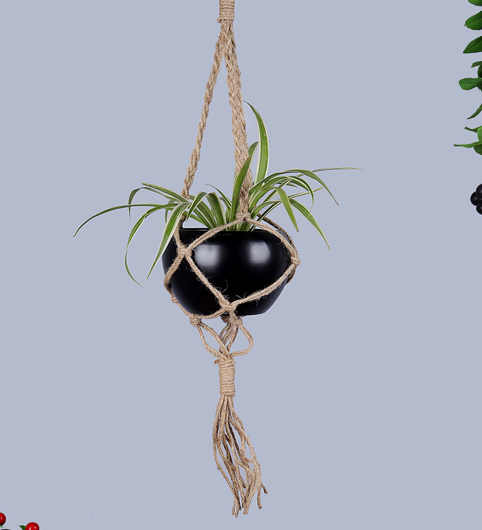 Beige Macrame Jute Hanging Planter with Metal Black Pot