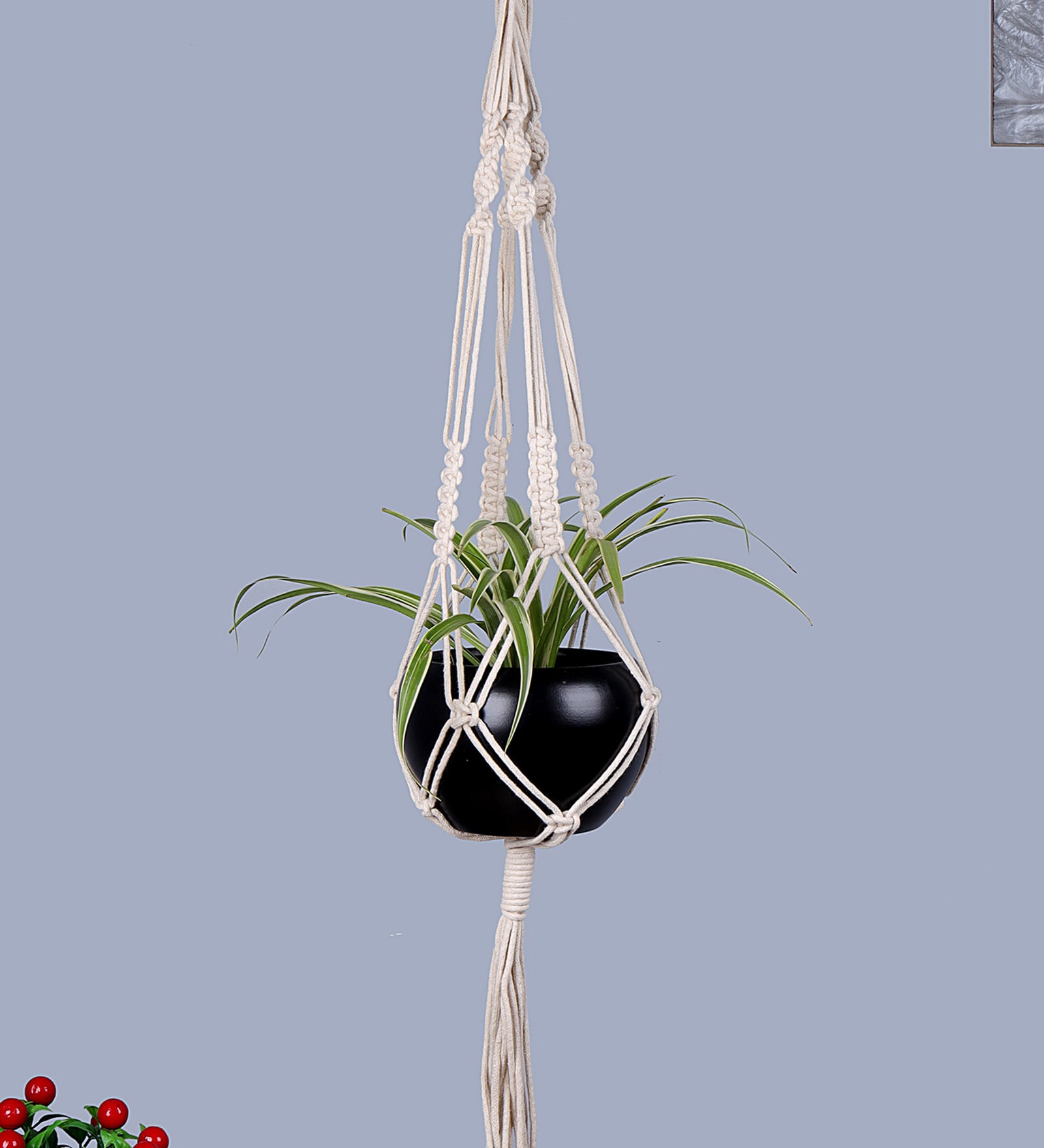 Beige Macrame Large Hanging Rope Planter with Metal Black Pot (Set of 2)